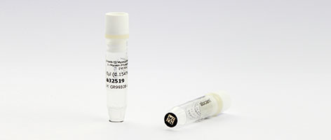 Product example vials
